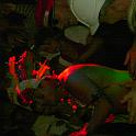 PICT2818